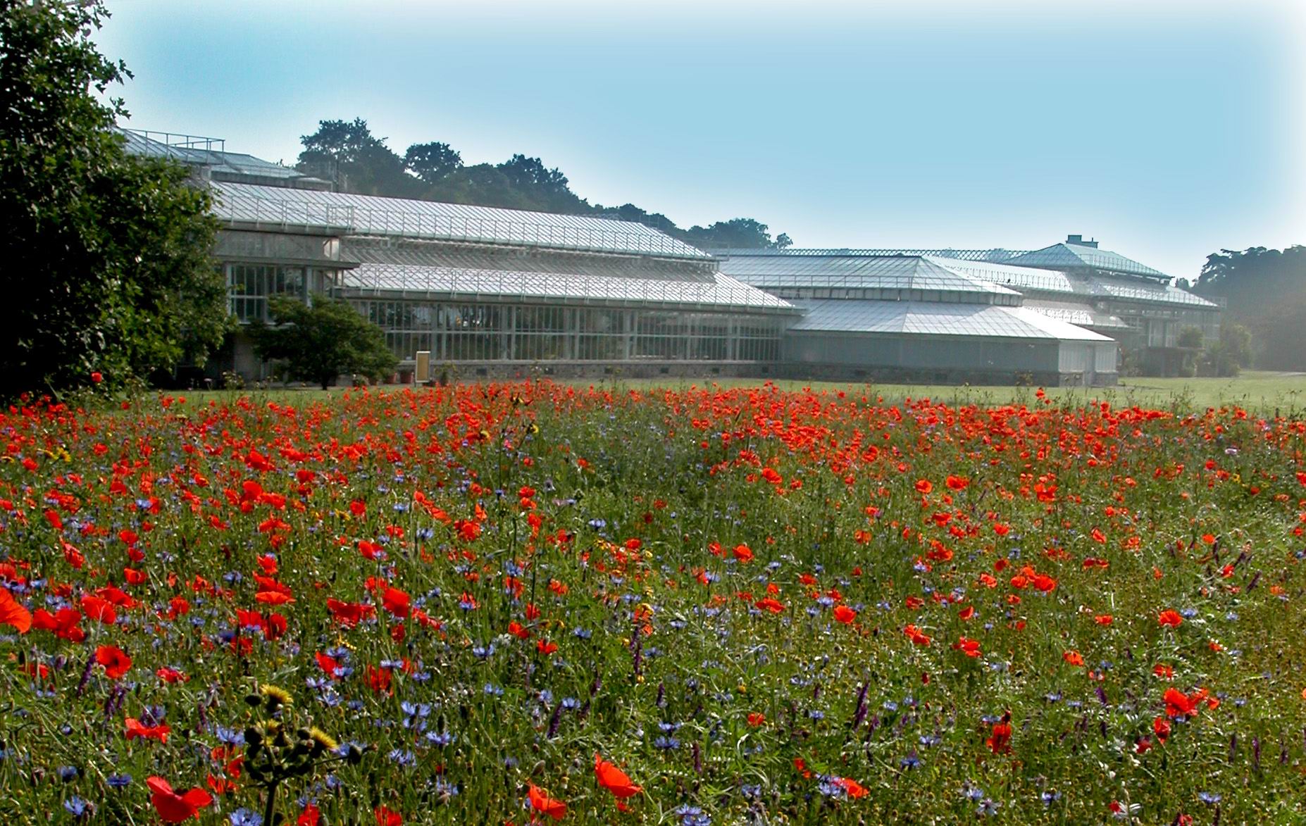 Meise Botanic Garden