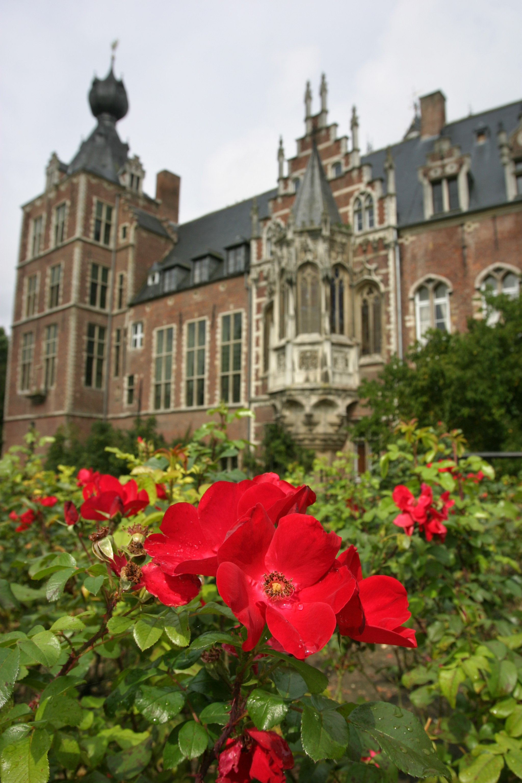 Arenberg castle Leuven - © Layla Aerts